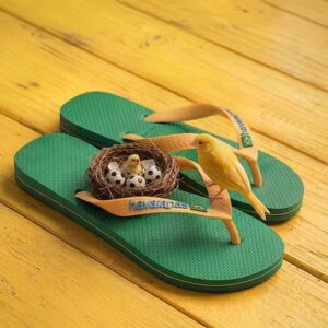 כפכפי הוויאנס | Havaianas